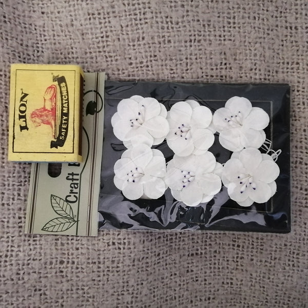 Dainty Paper Flowers (White)