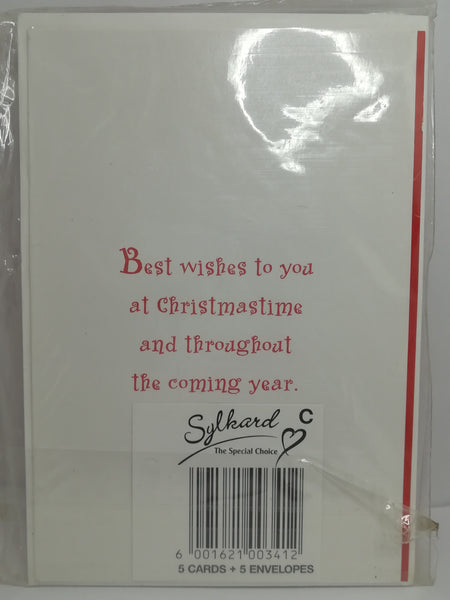 Greeting Card and Envelopes - Christmas - Style 25 - English (5 Cards)