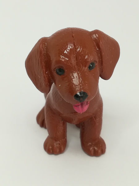 Brown Labrador Puppy (PIAP)