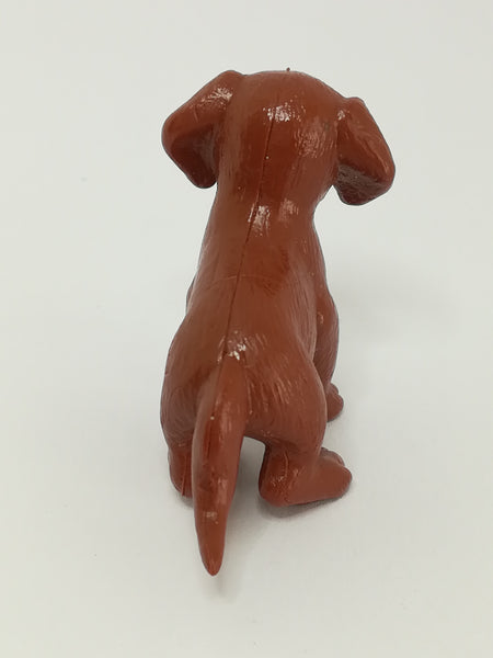 Brown Labrador Puppy (PIAP)