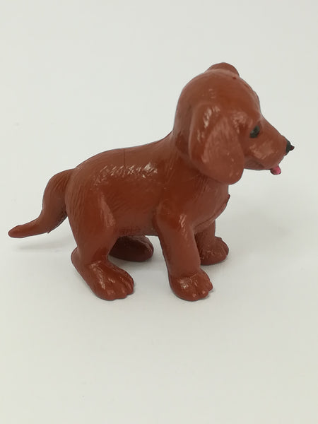 Brown Labrador Puppy (PIAP)