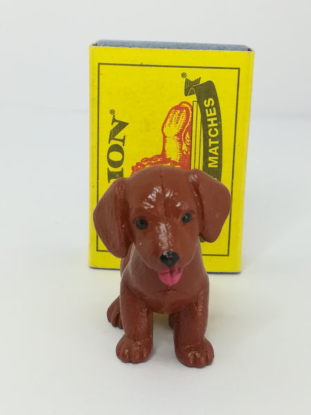 Brown Labrador Puppy (PIAP)