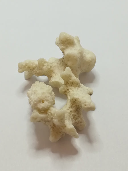 Miniature White Coral (Miniature, suitable for printer's tray)