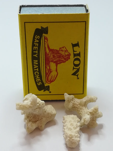 Miniature White Coral (Miniature, suitable for printer's tray)