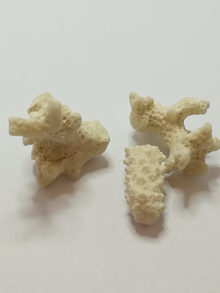 Miniature White Coral (Miniature, suitable for printer's tray)