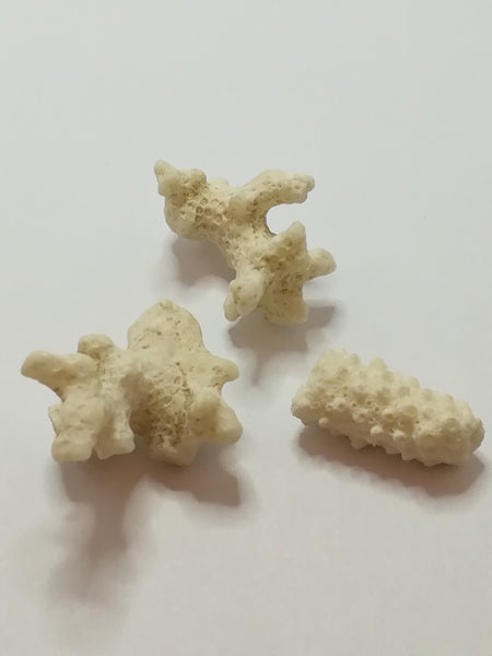 Miniature White Coral (Miniature, suitable for printer's tray)
