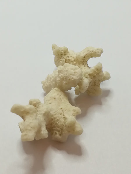 Miniature White Coral (Miniature, suitable for printer's tray)