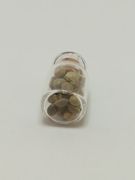 Miniature Glass Bottle Seeds (Miniature, suitable for printer's tray)