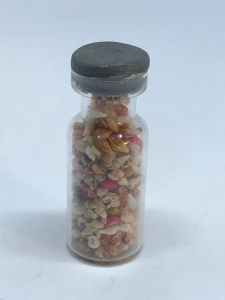 Miniature Shells in Jar - Tiny (Miniature, suitable for printer's tray)