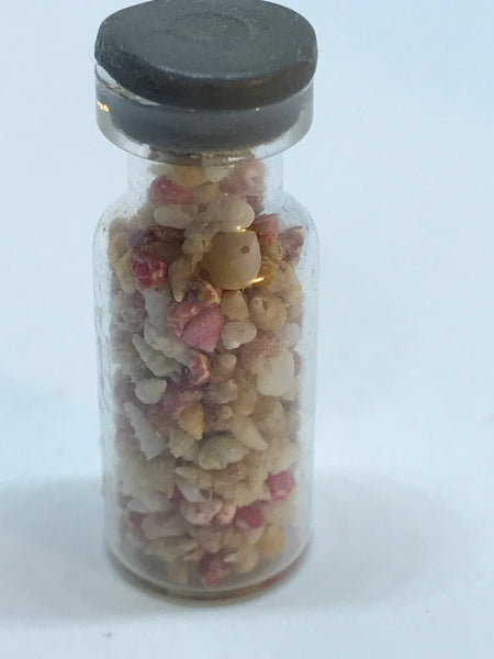 Miniature Shells in Jar - Tiny (Miniature, suitable for printer's tray)