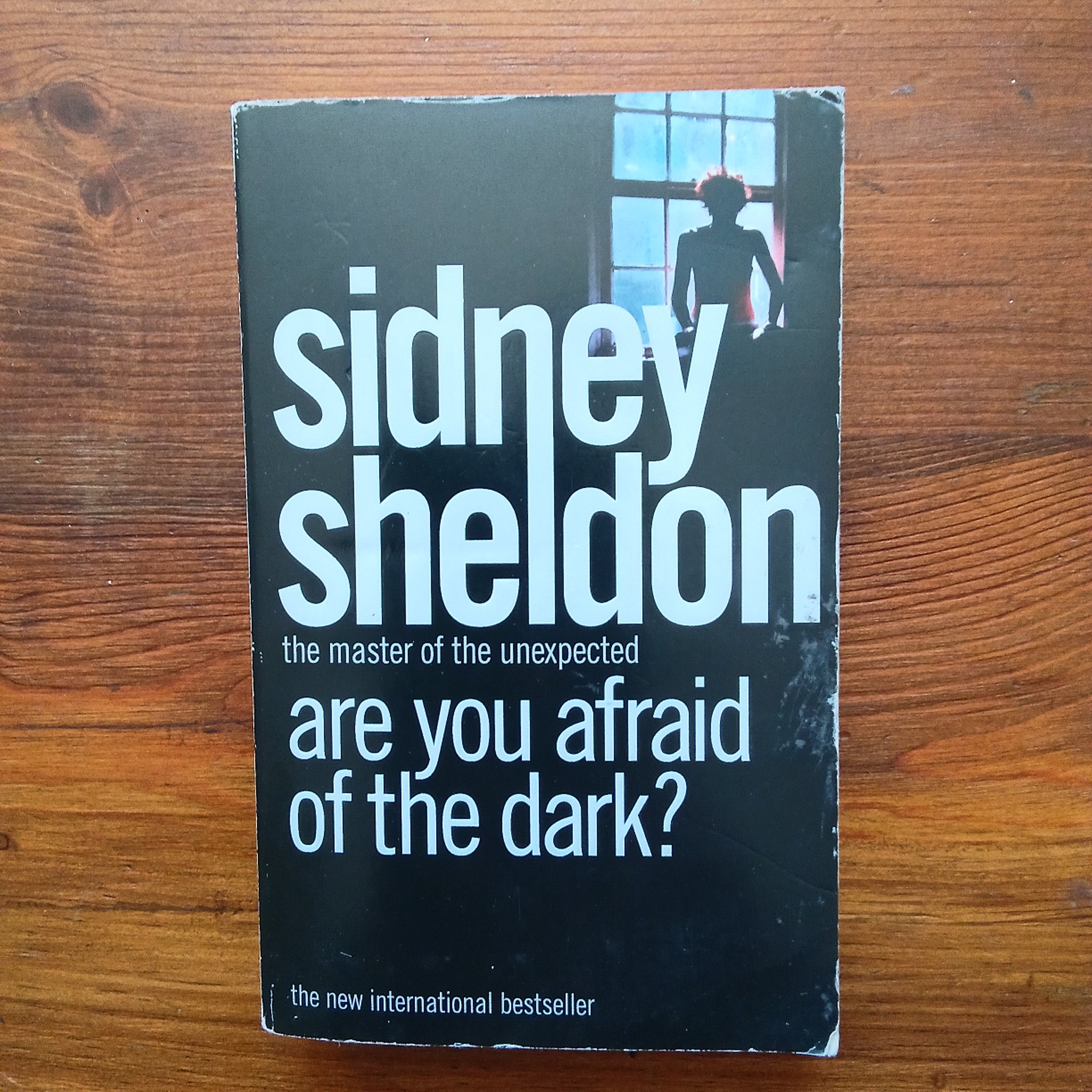 Are You Afraid of the Dark? (Sidney Sheldon)