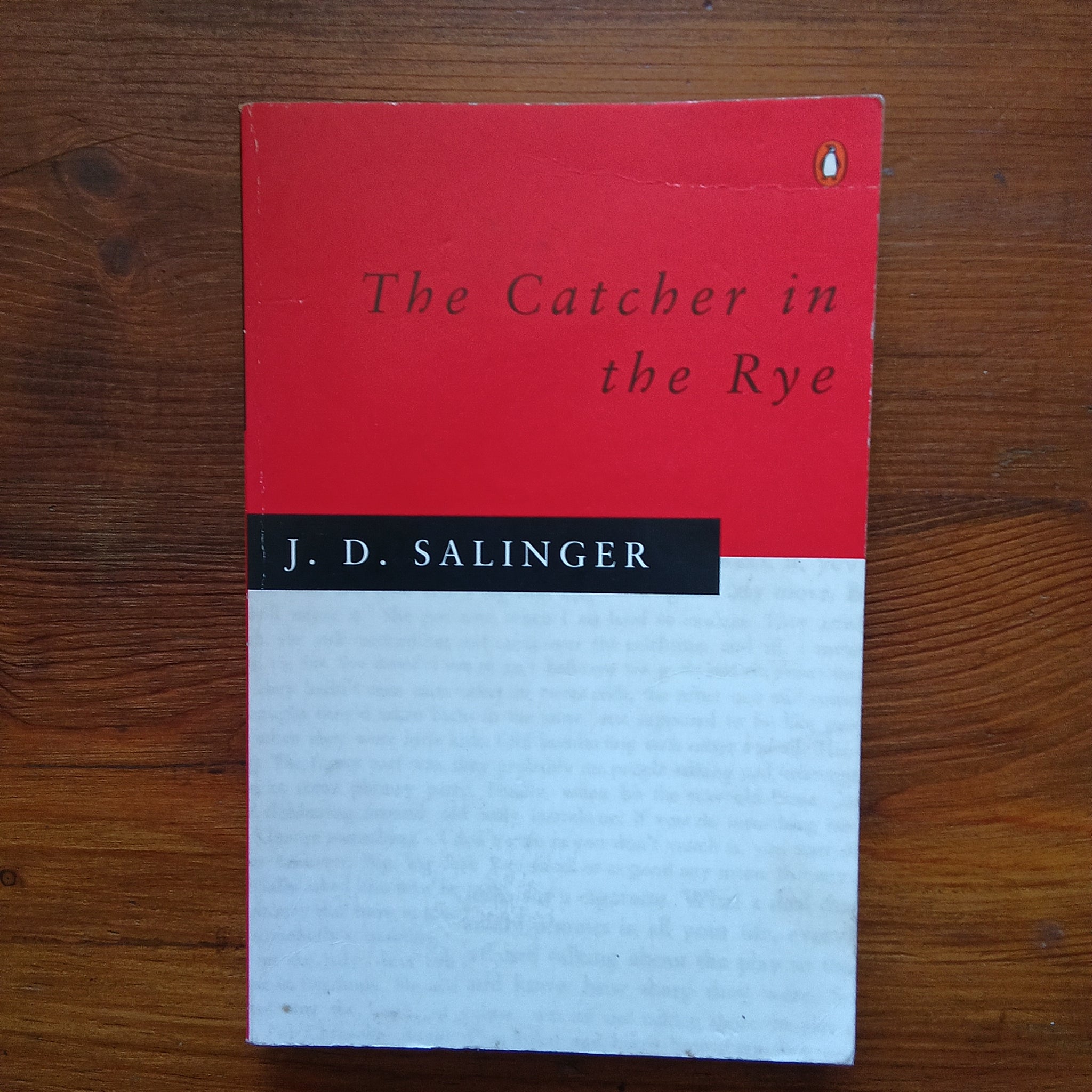 The Catcher in the Rye (J.D. Salinger)