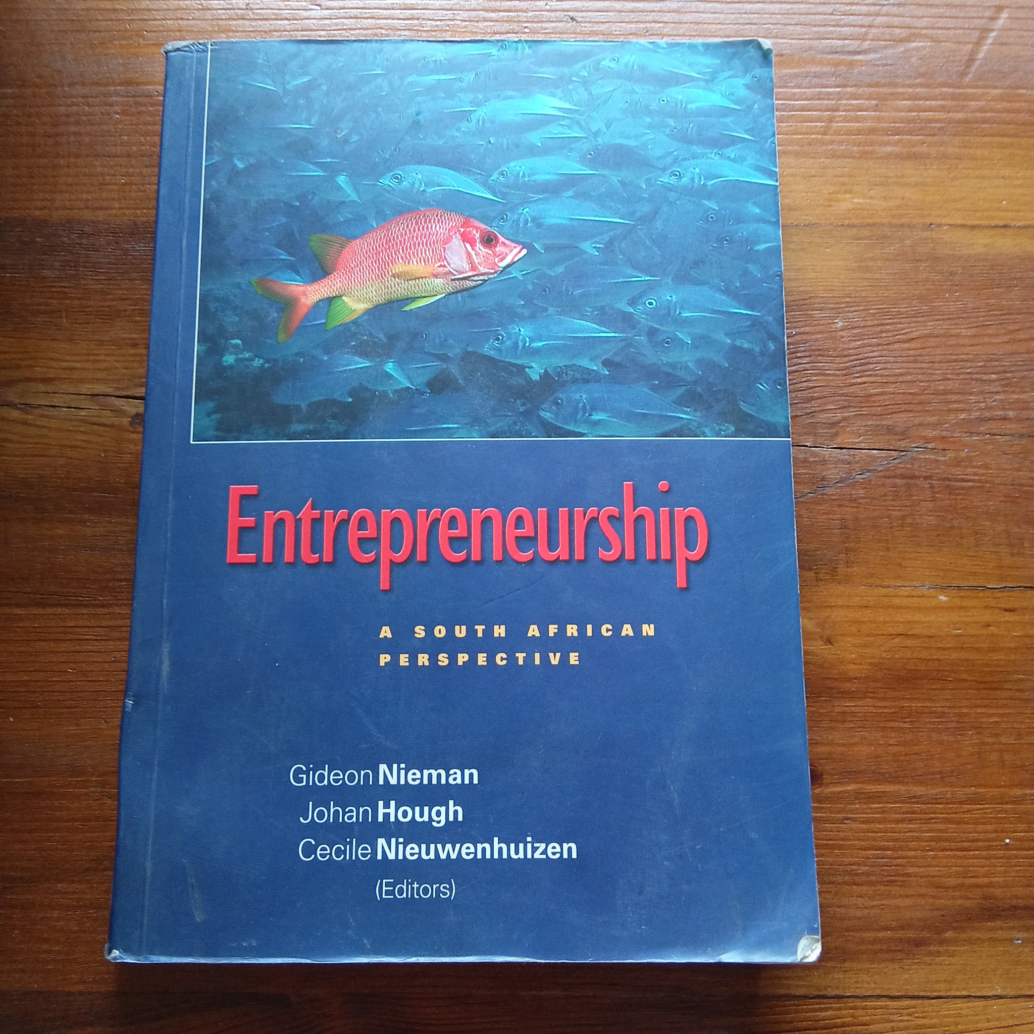 Entrepreneurship - A South African Perspective (Gideon Nieman et al.)