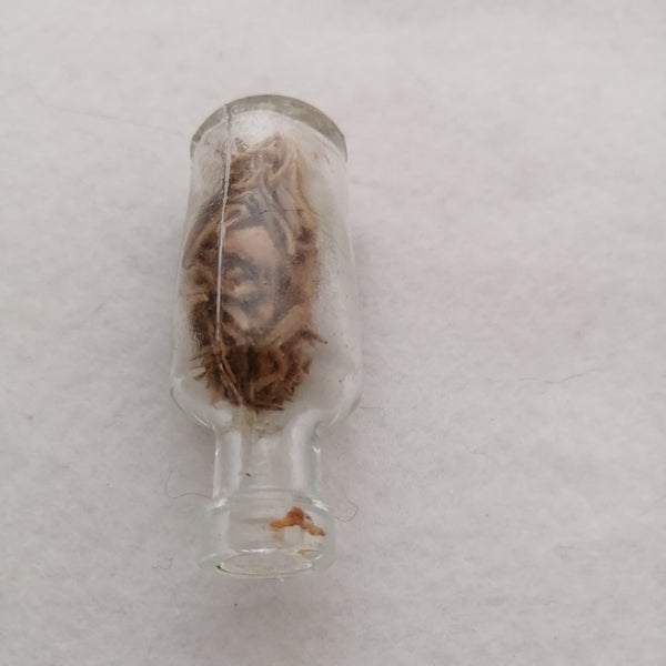 Small bottle with herbs (Miniature)