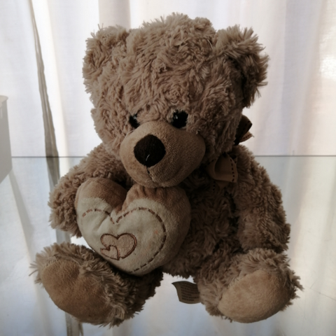 Teddy Bear with Heart