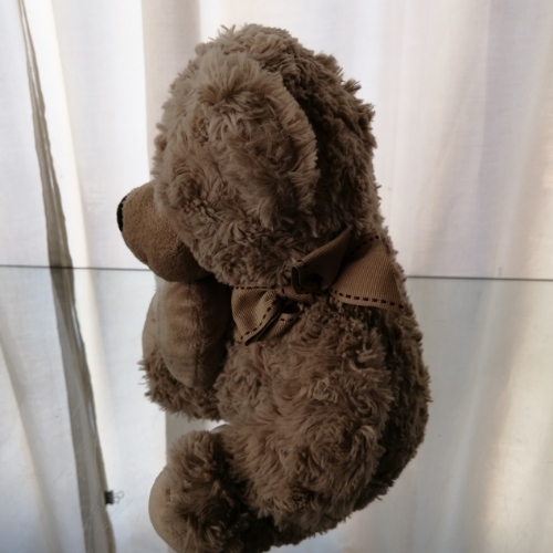 Teddy Bear with Heart