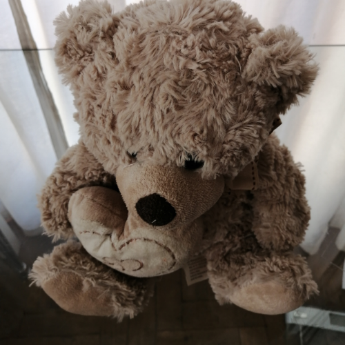 Teddy Bear with Heart