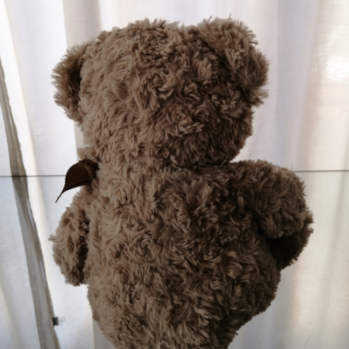 Teddy Bear with Heart