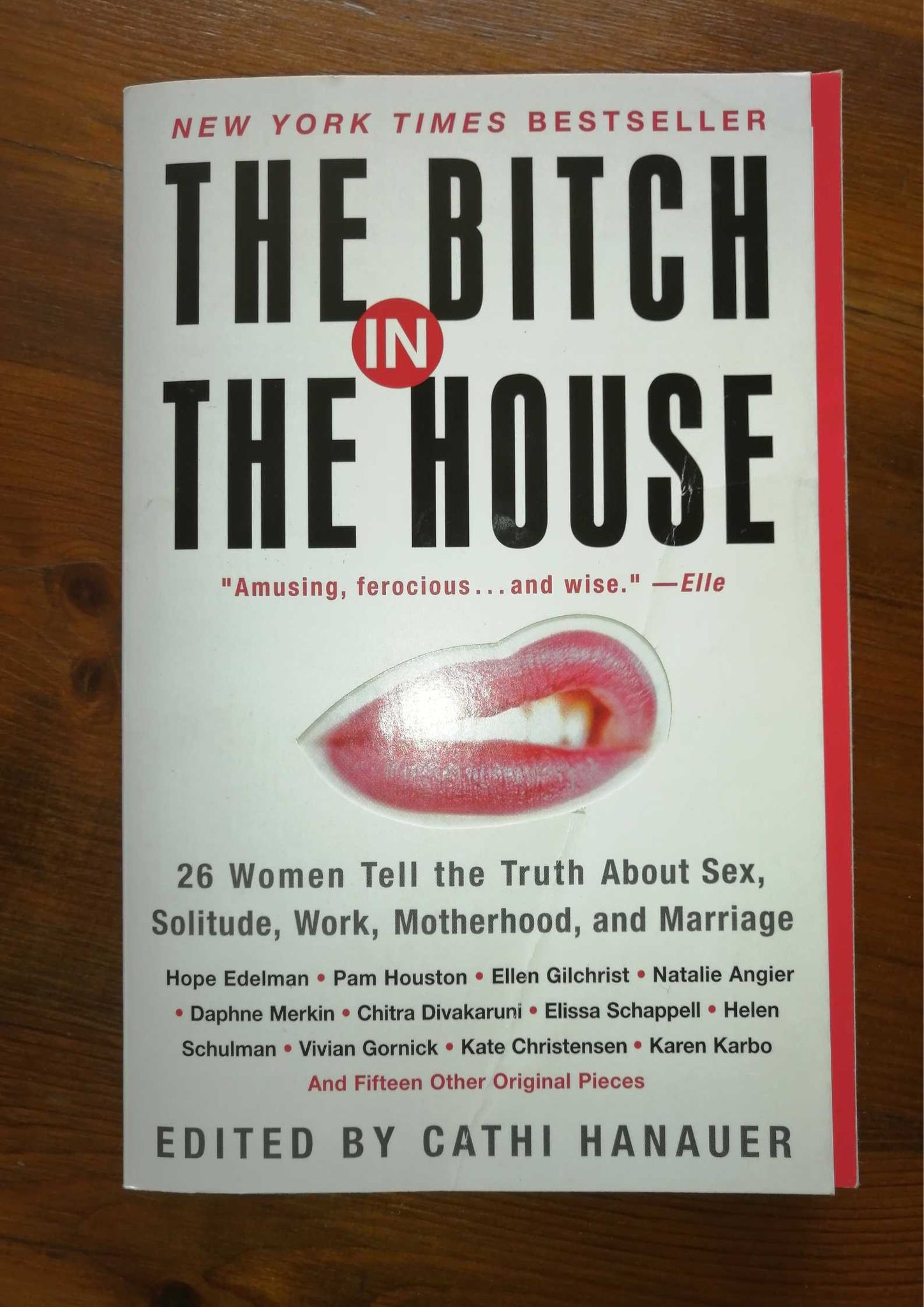 Bitch in the House (Cathi Hanauer)