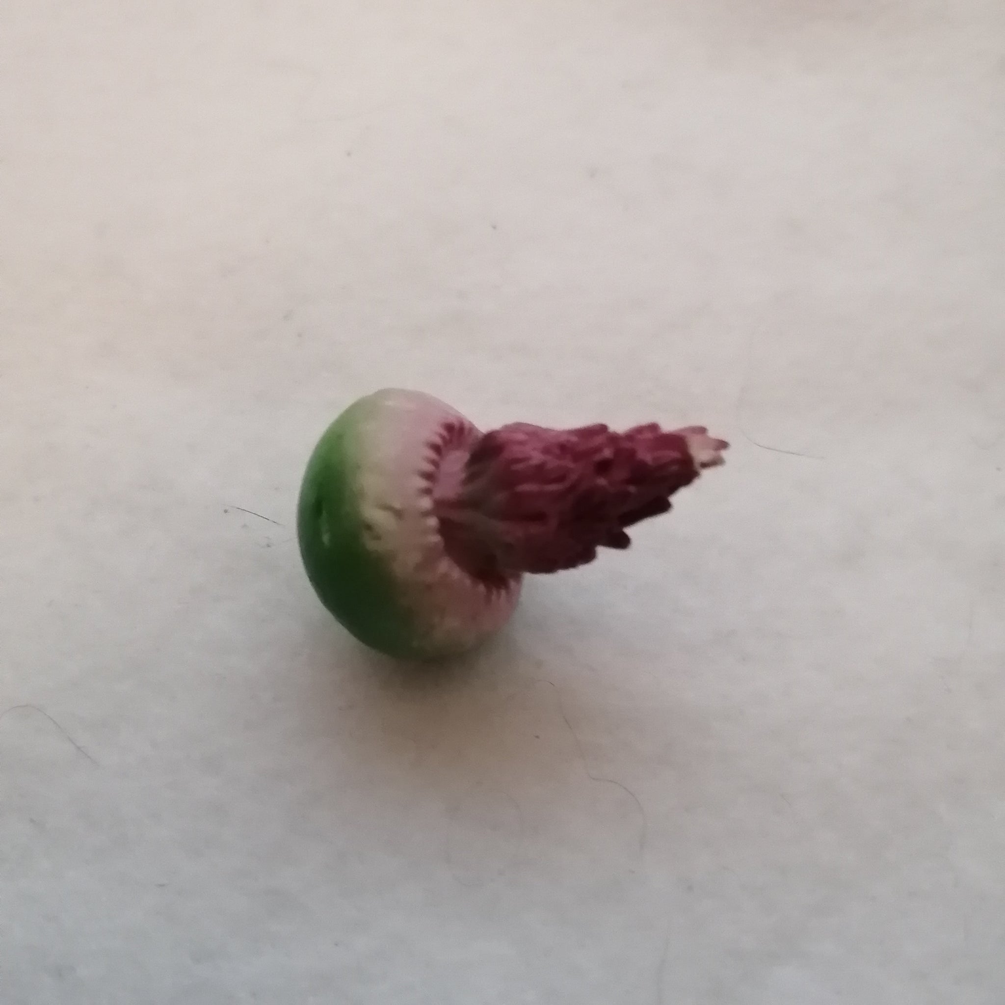 Shopkins (Collectable)