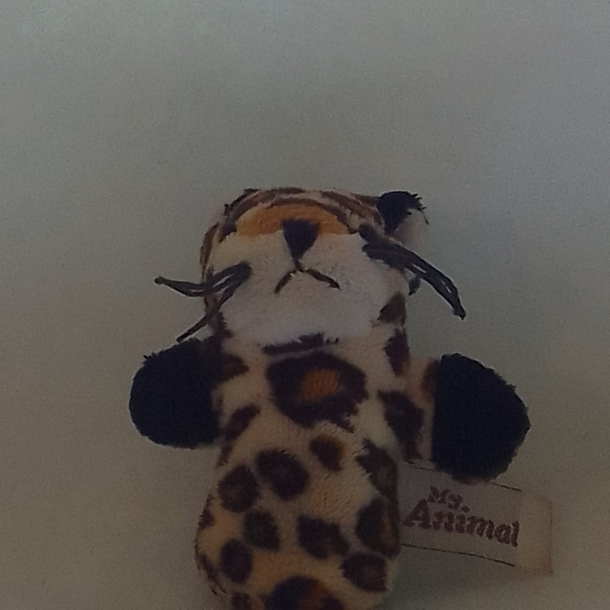 Finger Puppet Leopard