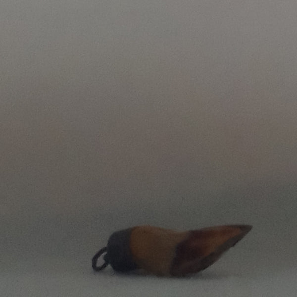 Animal Hoof Keyring