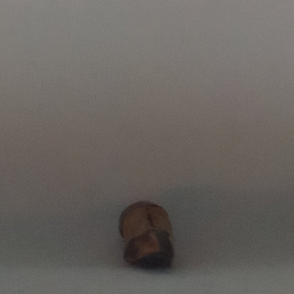 Animal Hoof Keyring