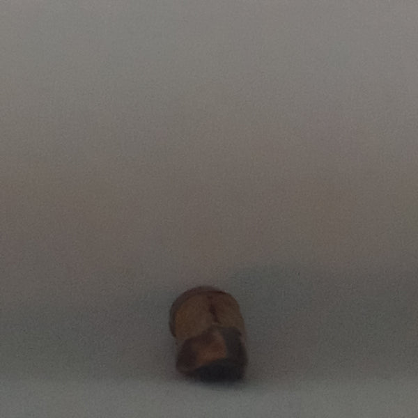 Animal Hoof Keyring