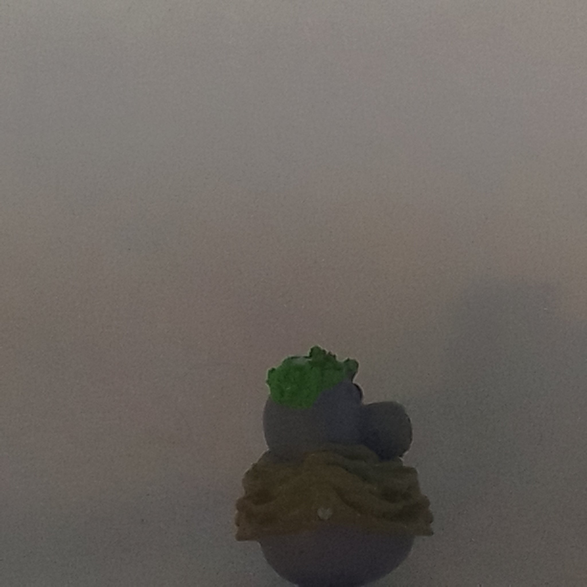 Shopkins (Collectable)
