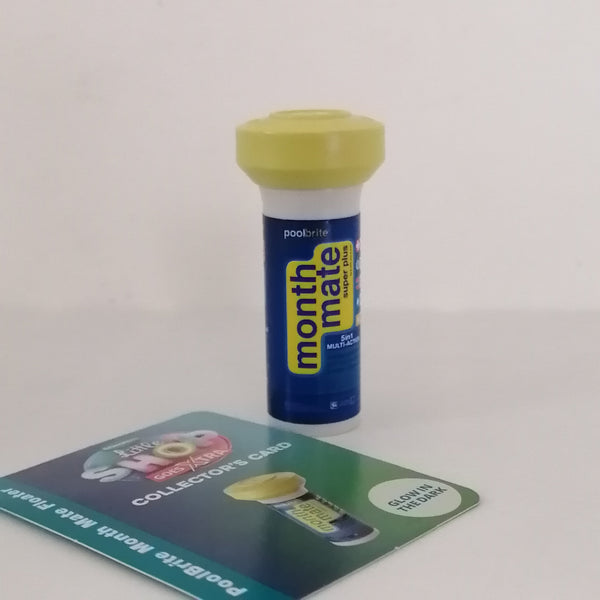 Checkers Mini "Month Mate" Little Shop