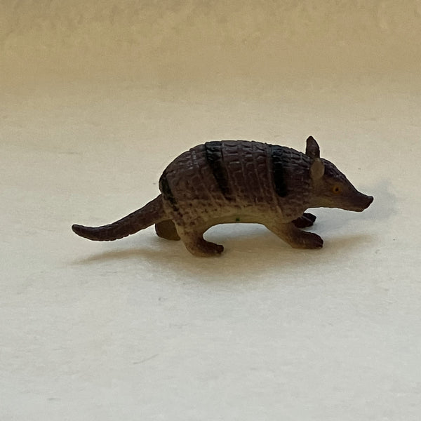 Miniature Armadillo