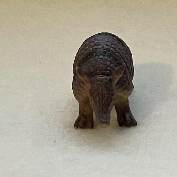 Miniature Armadillo