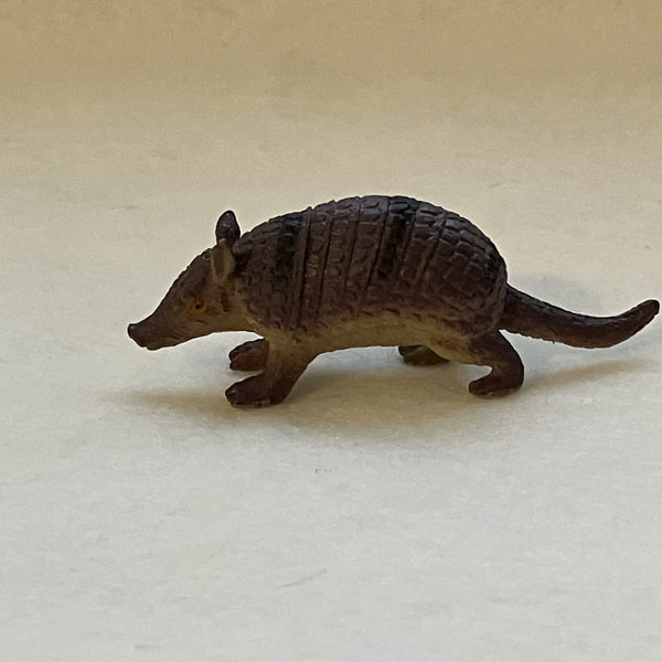 Miniature Armadillo