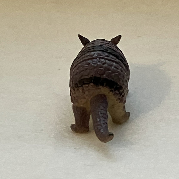 Miniature Armadillo
