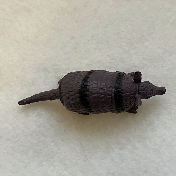 Miniature Armadillo