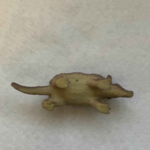Miniature Armadillo