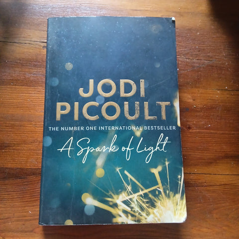 A Spark of Light (Jodi Picoult)