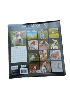 16-Month 2017 Calendar Jack Russell