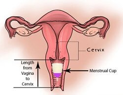 Medical Grade Silicone Menstrual Cup for Women Drain Valve (Large)