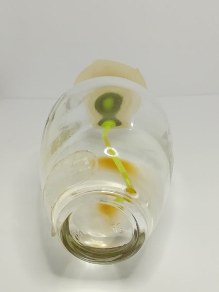 Perfume Bottle (Empty) - Chloe Narcisse (Chloe)