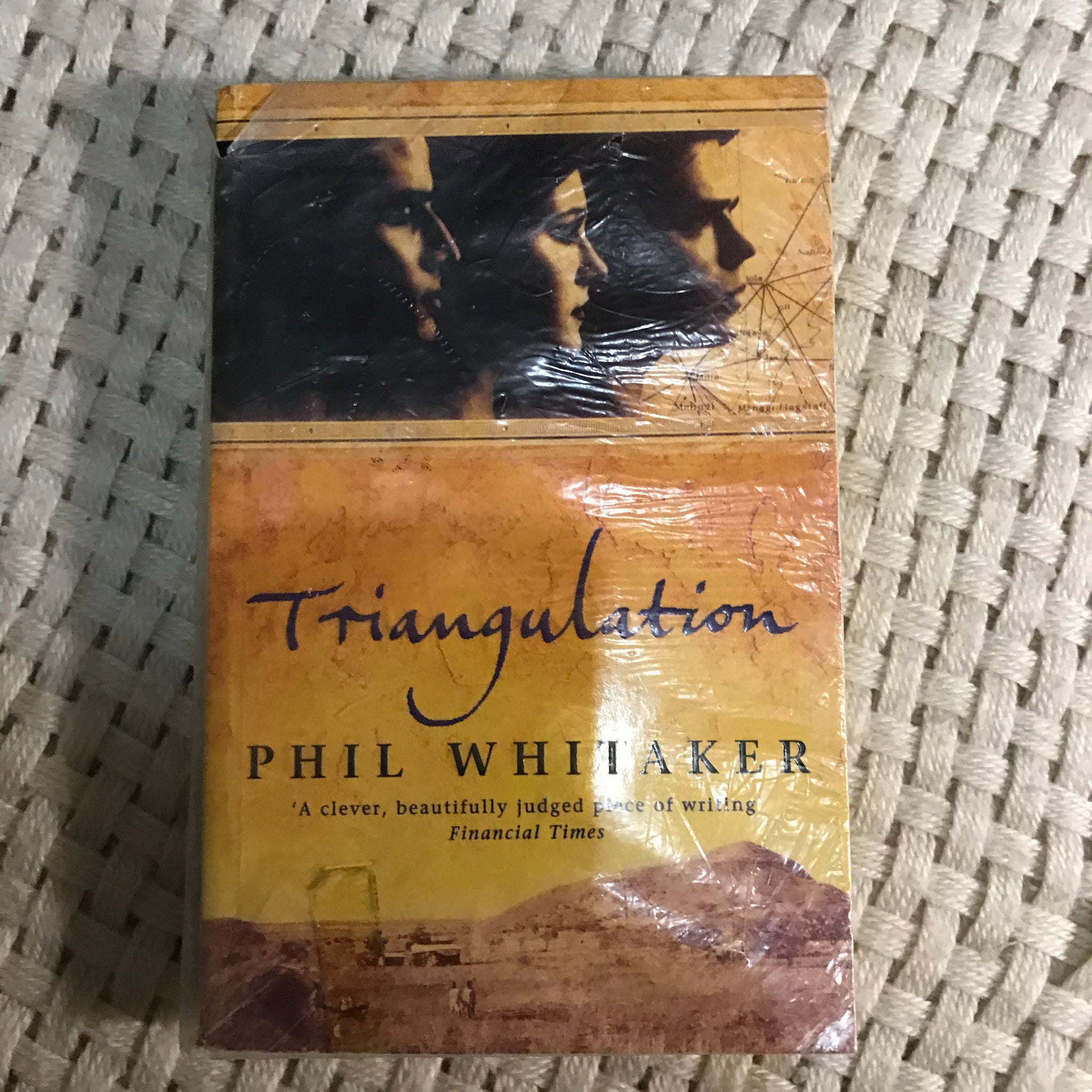 Triangulation (Phil Whitaker)