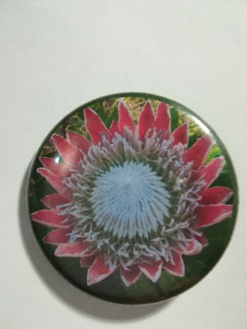 Pin Badge: 'Protea' (Small)