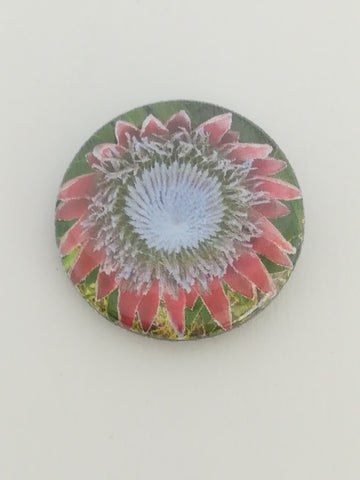 Pin Badge: Protea (Large)