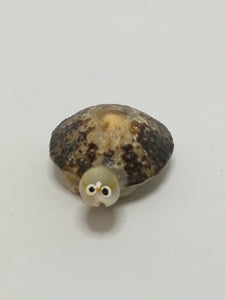 Miniature White & Mottled Sea Shells Tortoise (Miniature, suitable for printer's tray)