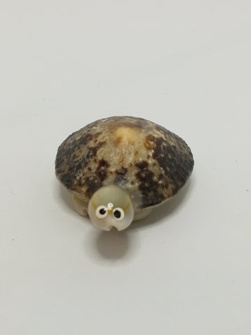 Miniature White & Mottled Sea Shells Tortoise (Miniature, suitable for printer's tray)