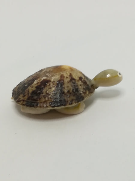 Miniature White & Mottled Sea Shells Tortoise (Miniature, suitable for printer's tray)