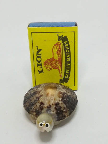 Miniature White & Mottled Sea Shells Tortoise (Miniature, suitable for printer's tray)