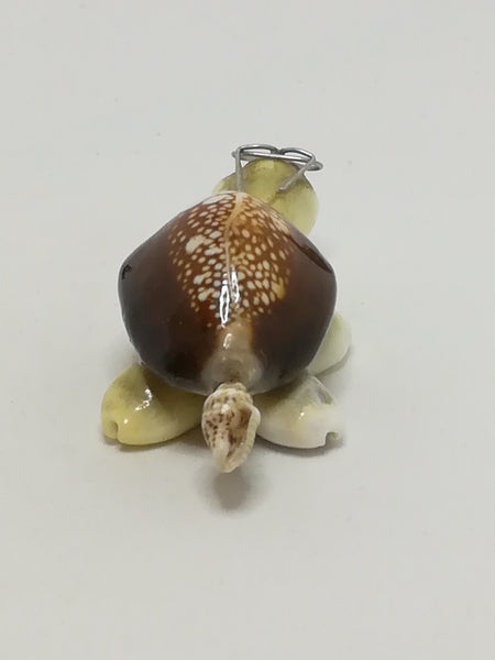 Miniature White & Brown Sea Shells Tortoise Wearing Glasses - Design 1 (Miniature, suitable for printer's tray)