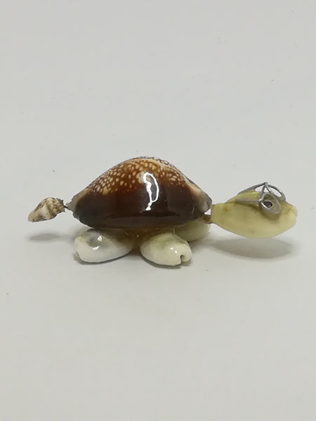 Miniature White & Brown Sea Shells Tortoise Wearing Glasses - Design 1 (Miniature, suitable for printer's tray)