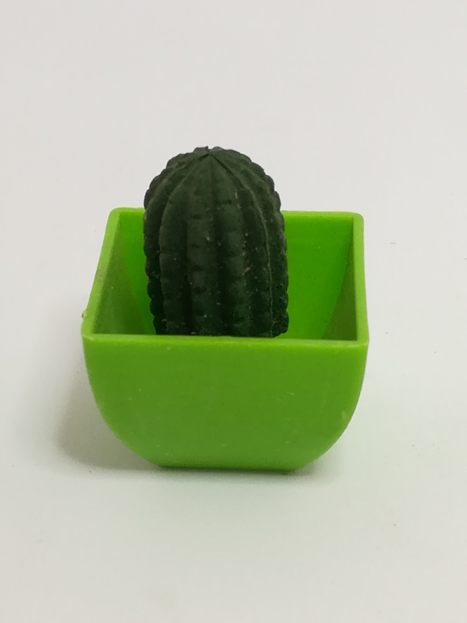 Miniature Cactus (Miniature, suitable for printer's tray)